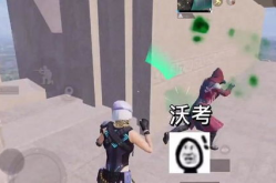 让小姐姐喜欢的吃鸡id,揭秘最受欢迎的吃鸡ID