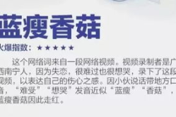 网络网红语言,网络热词背后的潮流风向标”